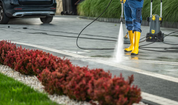 Best Affordable Pressure Washing  in River Falls, WI