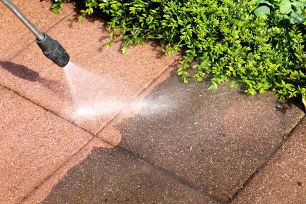 Deck Cleaning Services in River Falls, WI